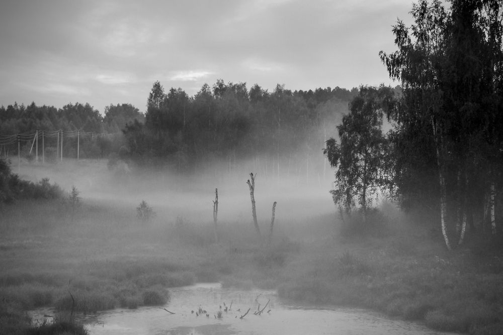 Photograph by Наталья Шапиева