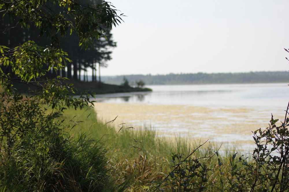 Photograph by Светлана Галкина