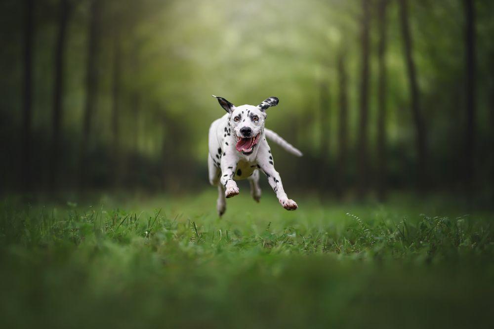 Photograph by Rut Casanellas