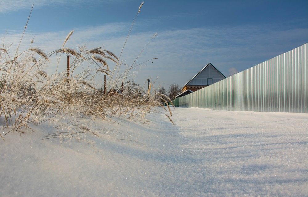 Photograph by Елена Царёва