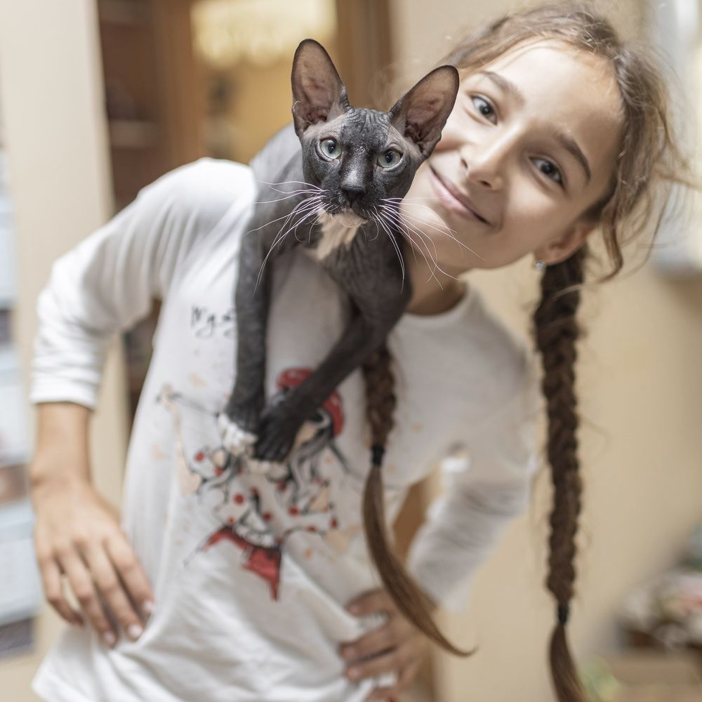 Фотография автора Denis Kotrenko