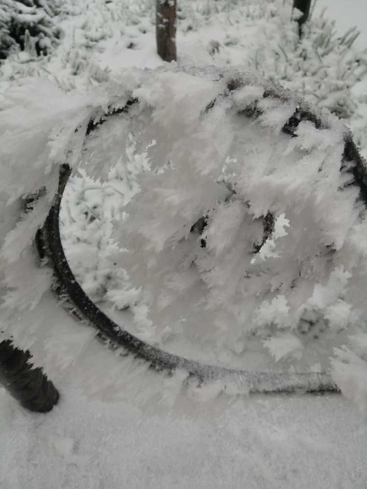 Photograph by Мила Мит