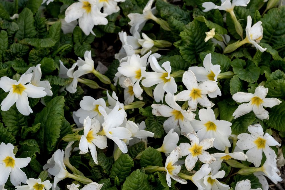 Photograph by Ольга Михайлова