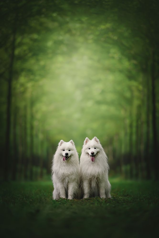 Photograph by Rut Casanellas