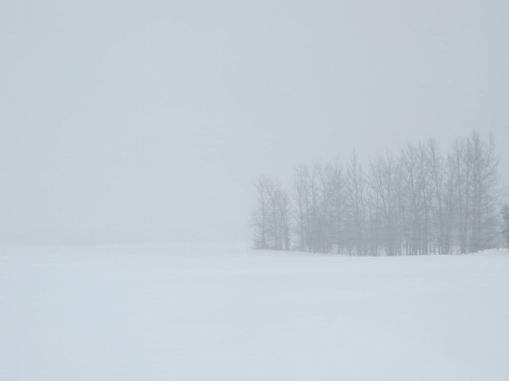 Photograph by Татьяна Поминова