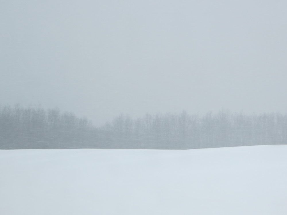 Белое безмолвие/The white silence