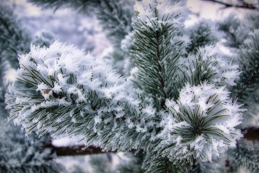 Фотография автора Марина Юдинских