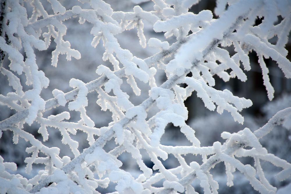 Photograph by Владислав Рубцов