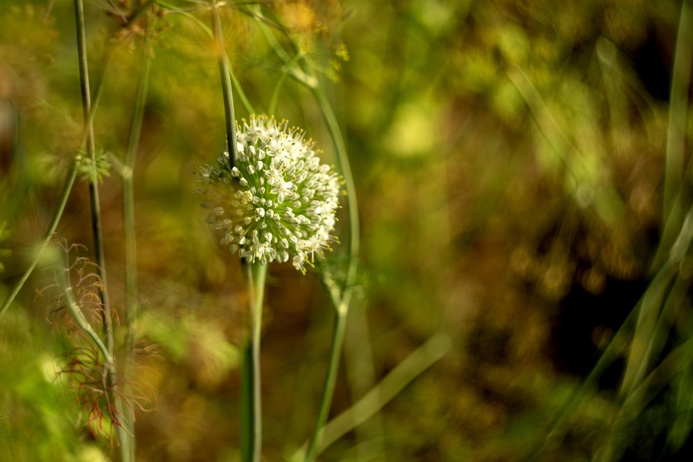 Photograph by Ольга Михайлова