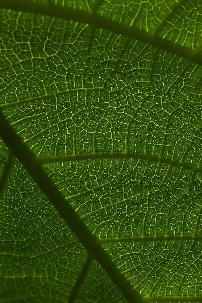 Photograph by Владислав Треус