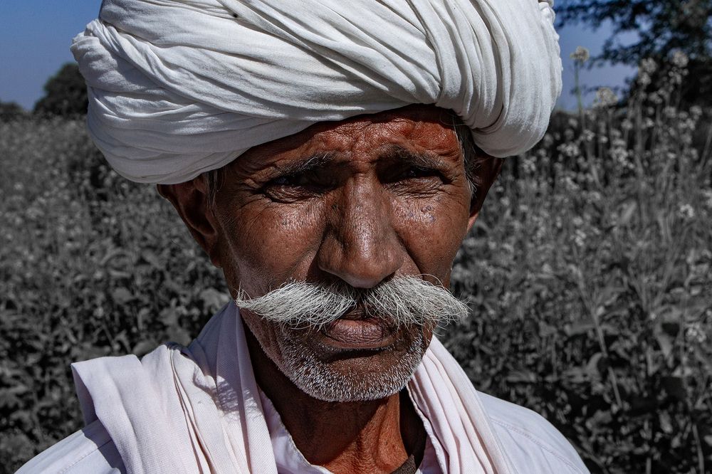 Фотография автора Abie Davies Thekkanath