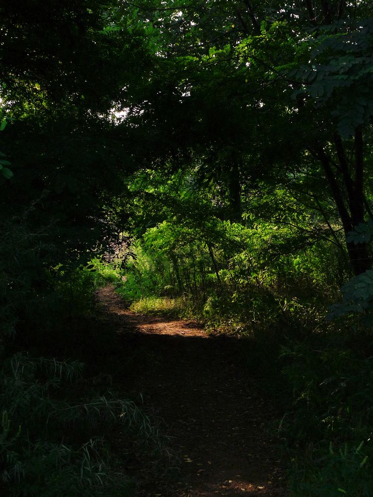 Фотография автора Оксана Мякотина