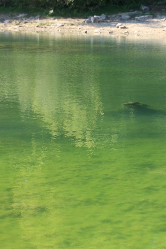 Photograph by Жанна