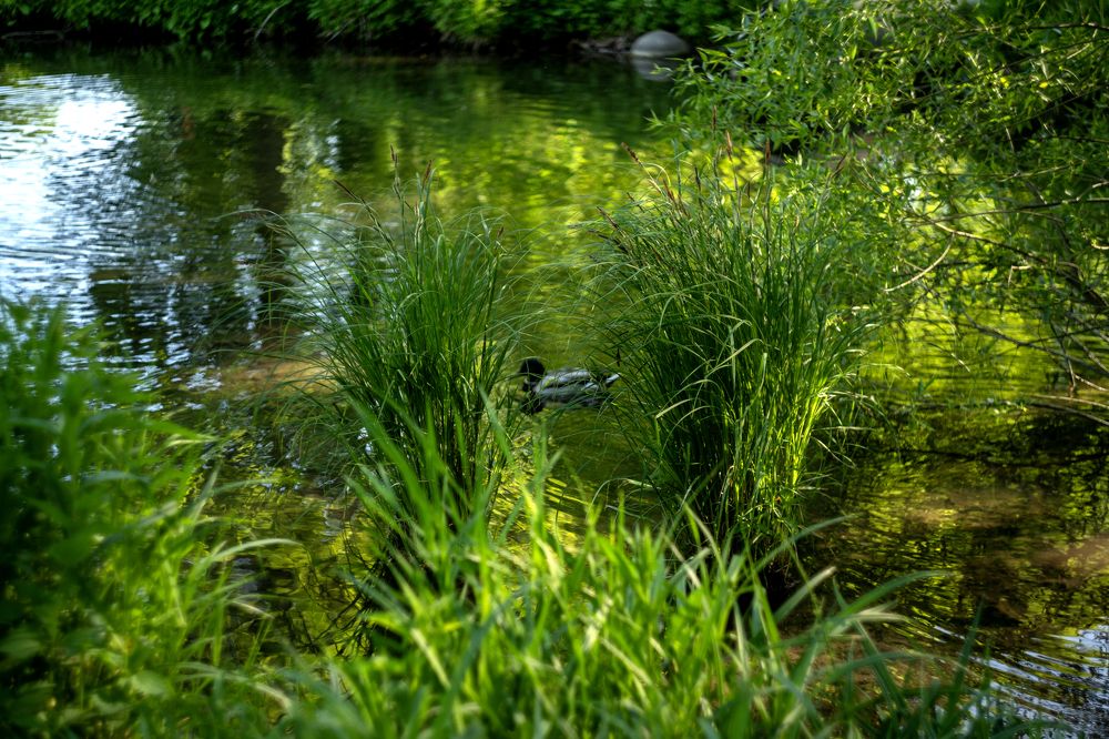 Photograph by Ольга Михайлова
