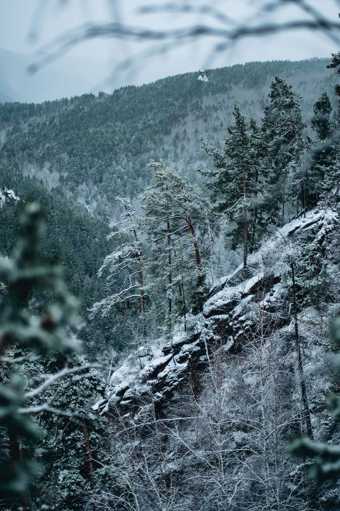 Фотография автора Дмитрий Ширнин