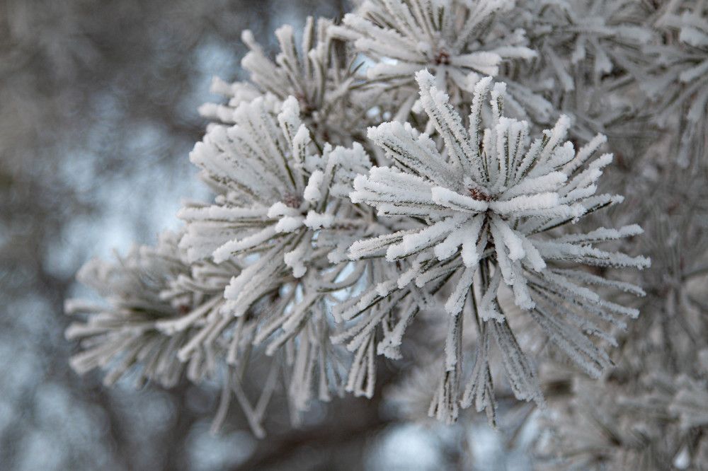 Photograph by Татьяна Панчешная