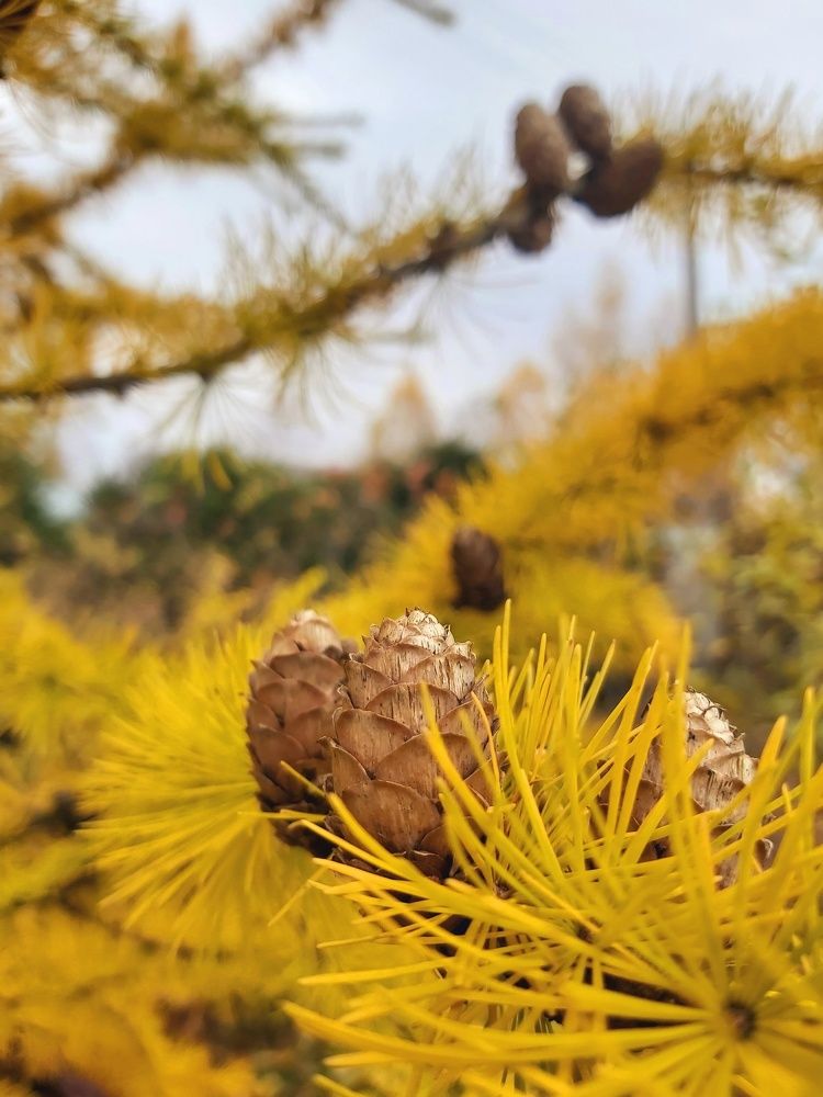 Photograph by Олег Лебедев