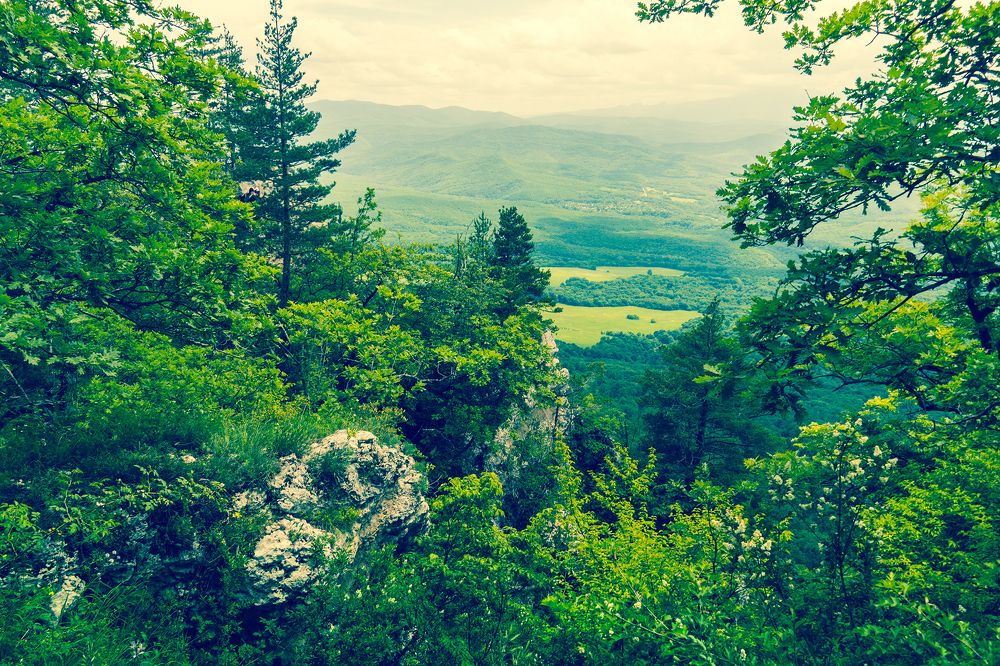 Фотография автора Вадим Коваленко