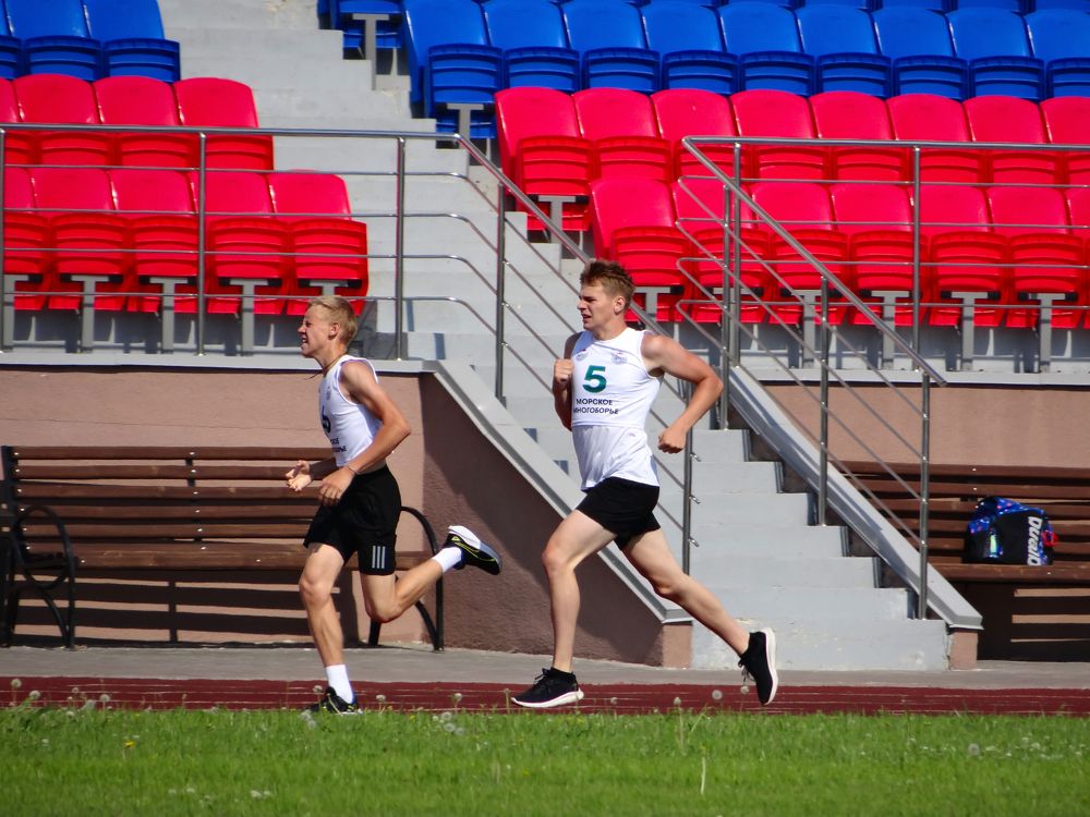 Photo #11391159