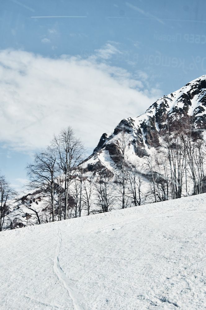 Фотография автора Оксана Мякотина
