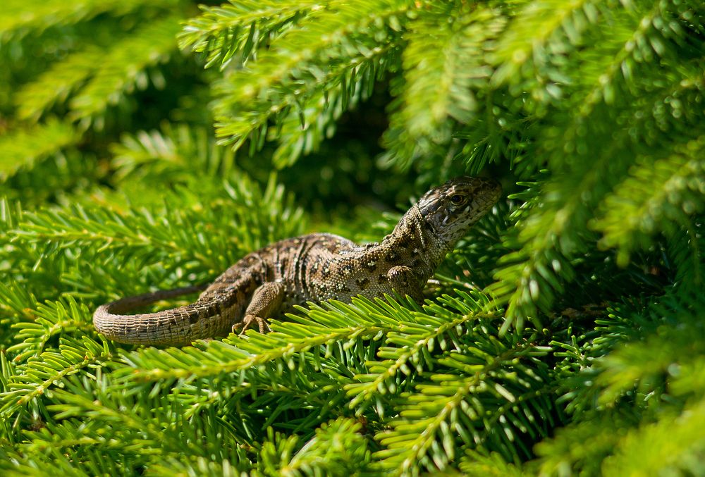 Photograph by Виктория Уварова