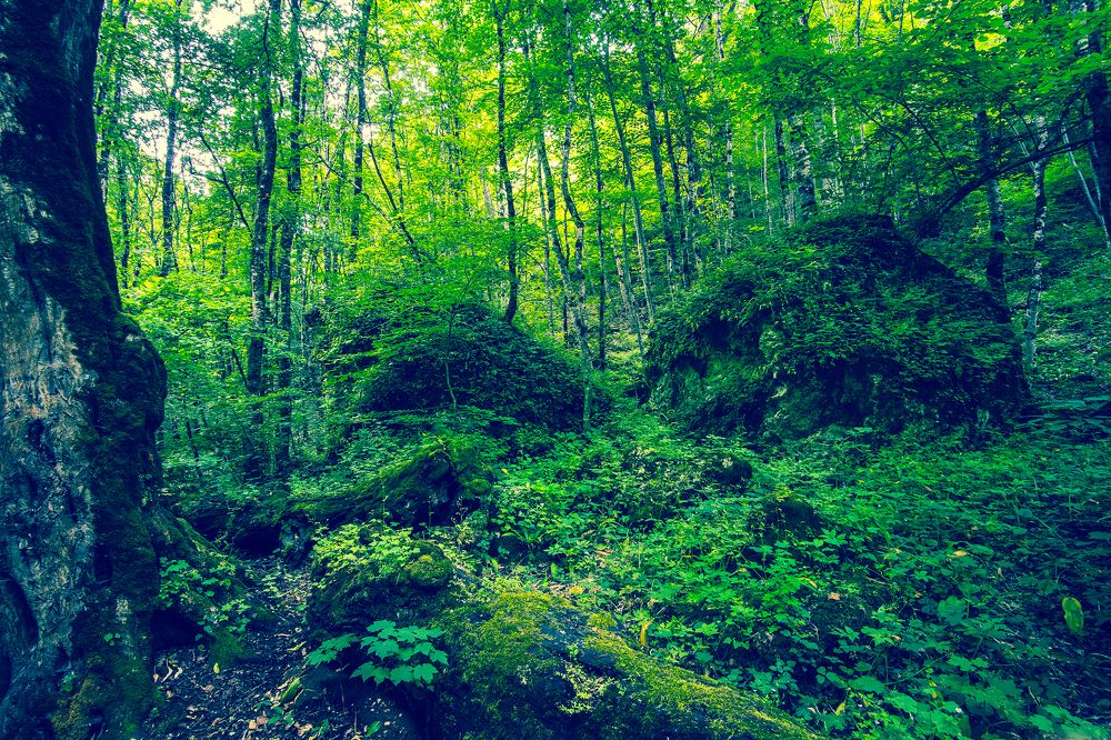 Фотография автора Вадим Коваленко