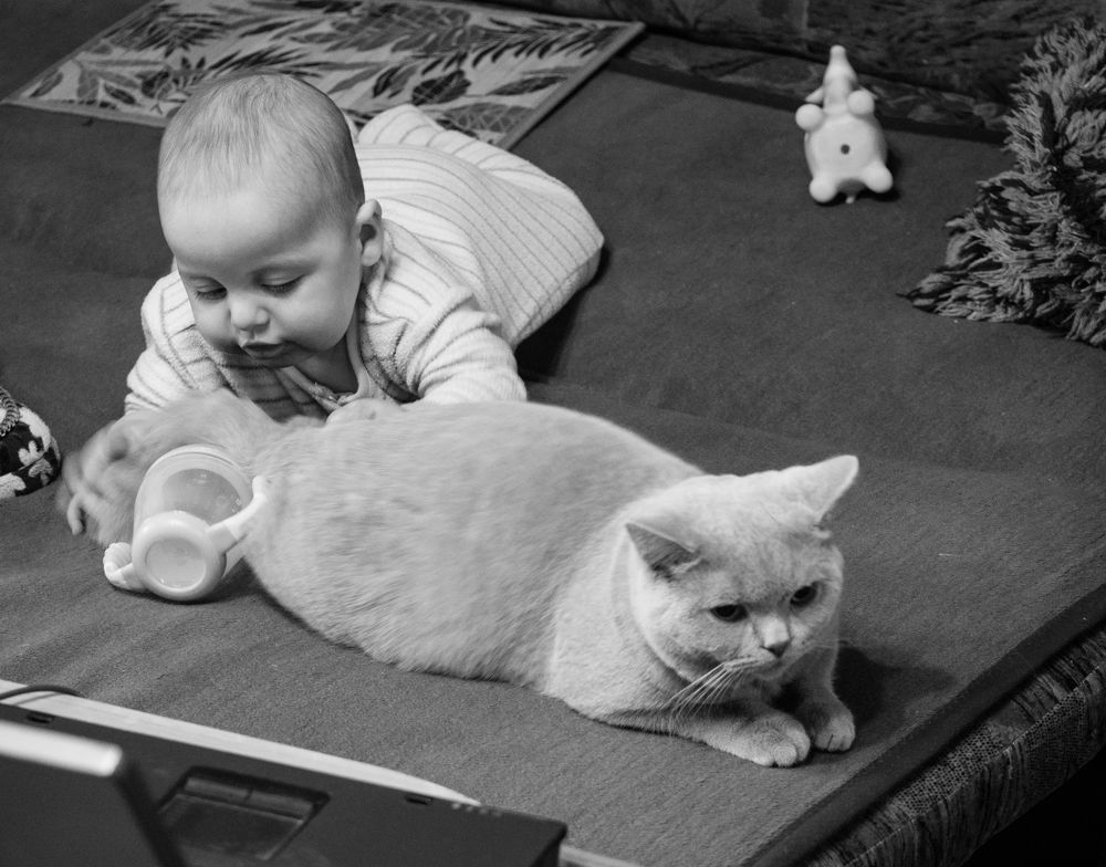 Photograph by Руслан Гончар