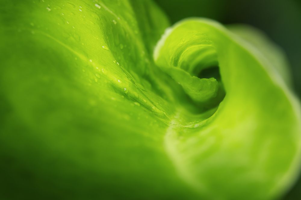 Photograph by Валерия Кузнецова