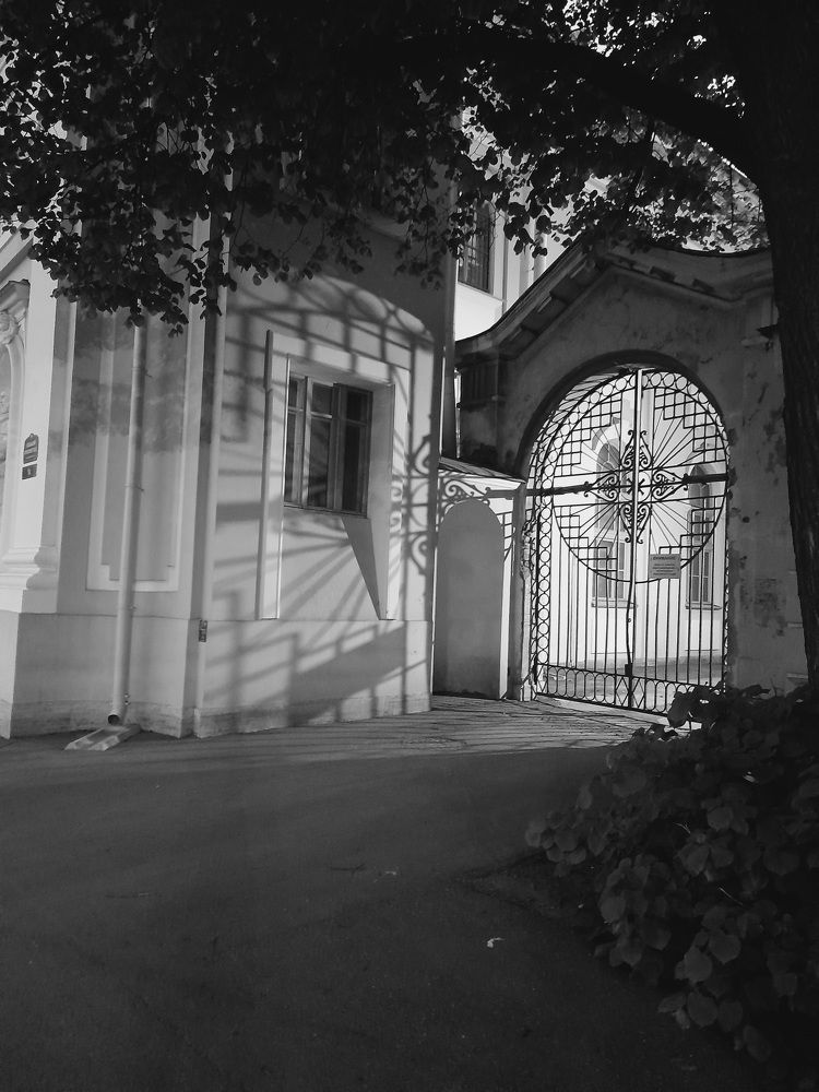 Photograph by Любовь Штильникова