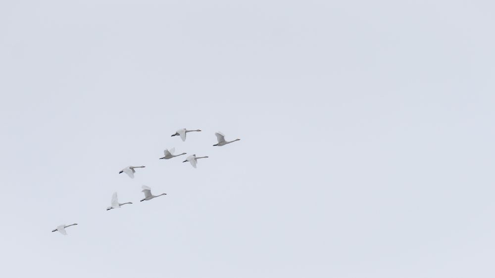 Photograph by Антон Дроздов