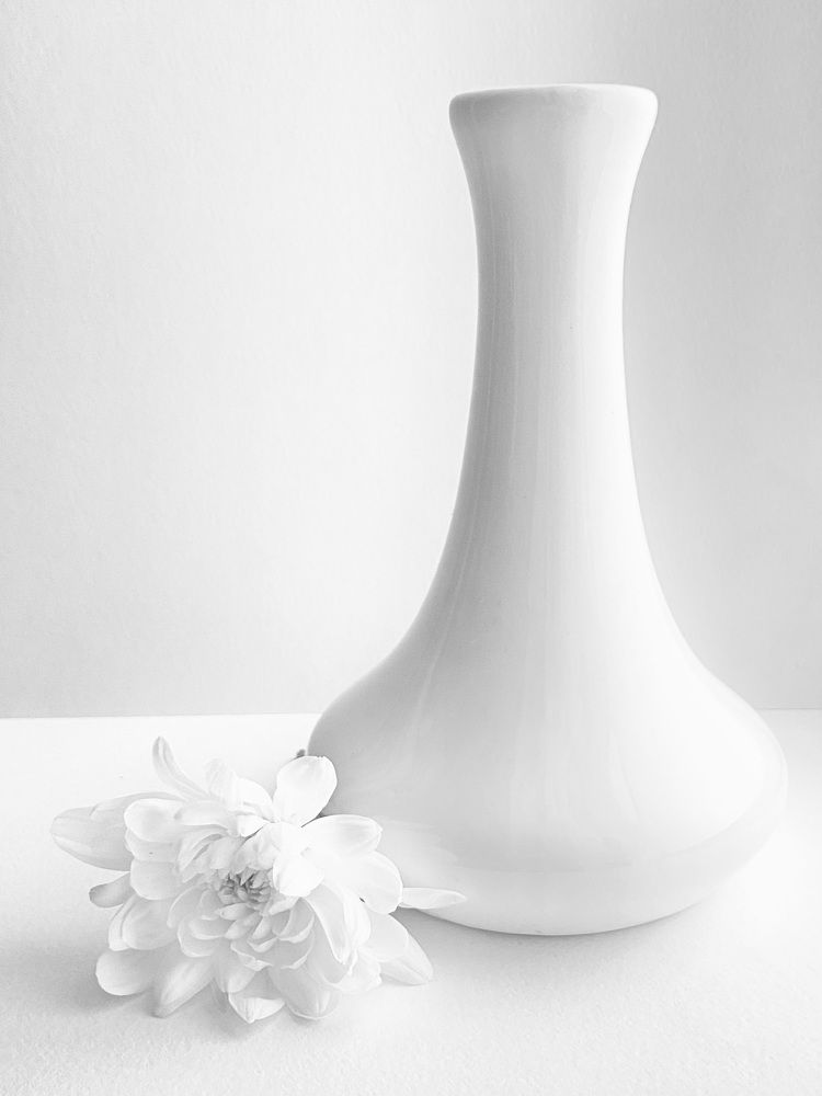 Фотография автора Ольга Полякова