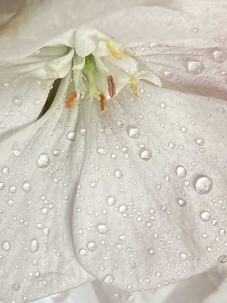 Фотография автора Ольга Полякова