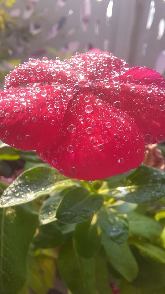 Photograph by Khushi Vashisth