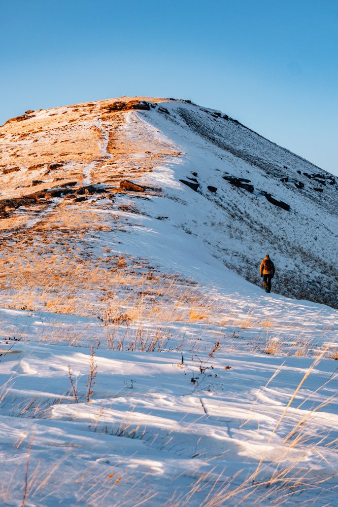 Фотография автора Дмитрий Ширнин