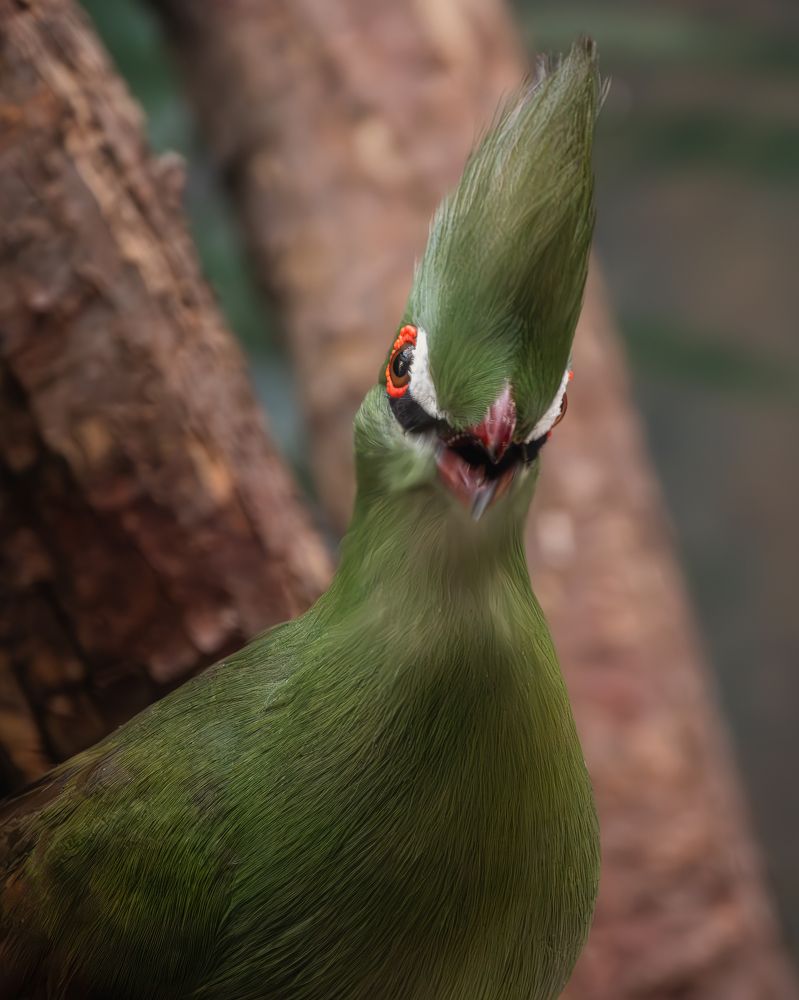 Photograph by Дудников Александр