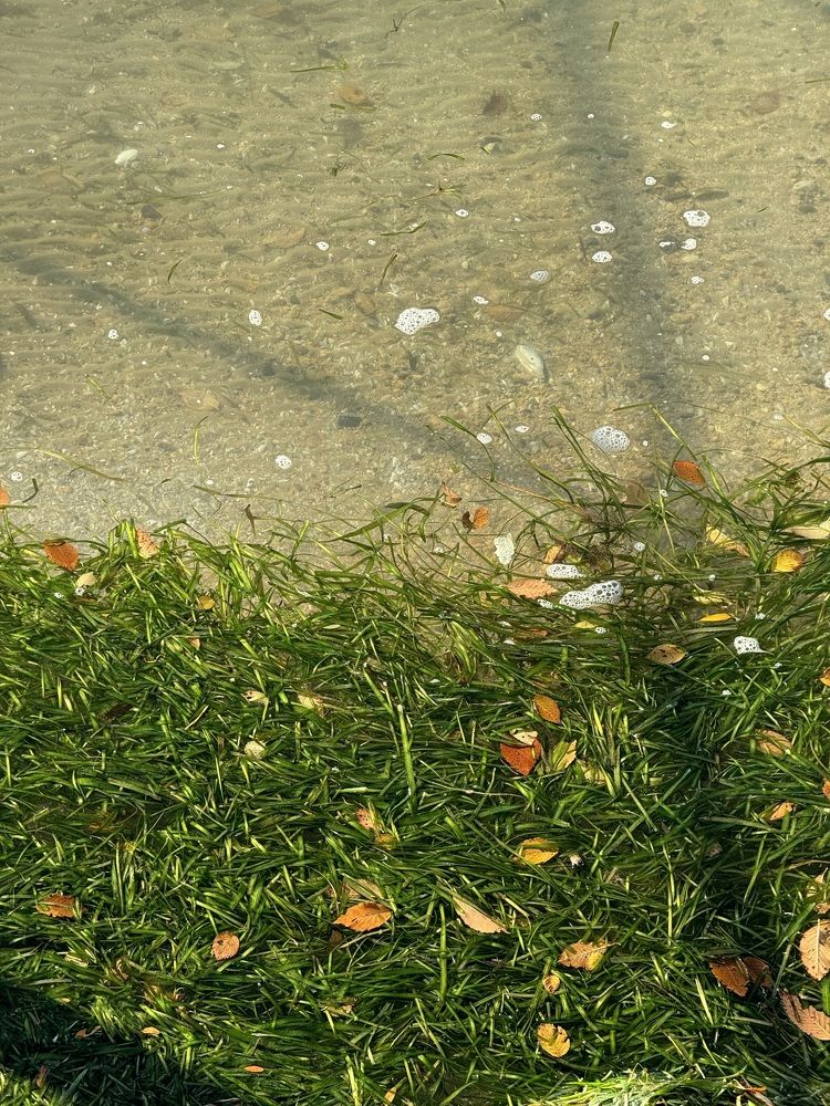 Photograph by Бойкова Наталия