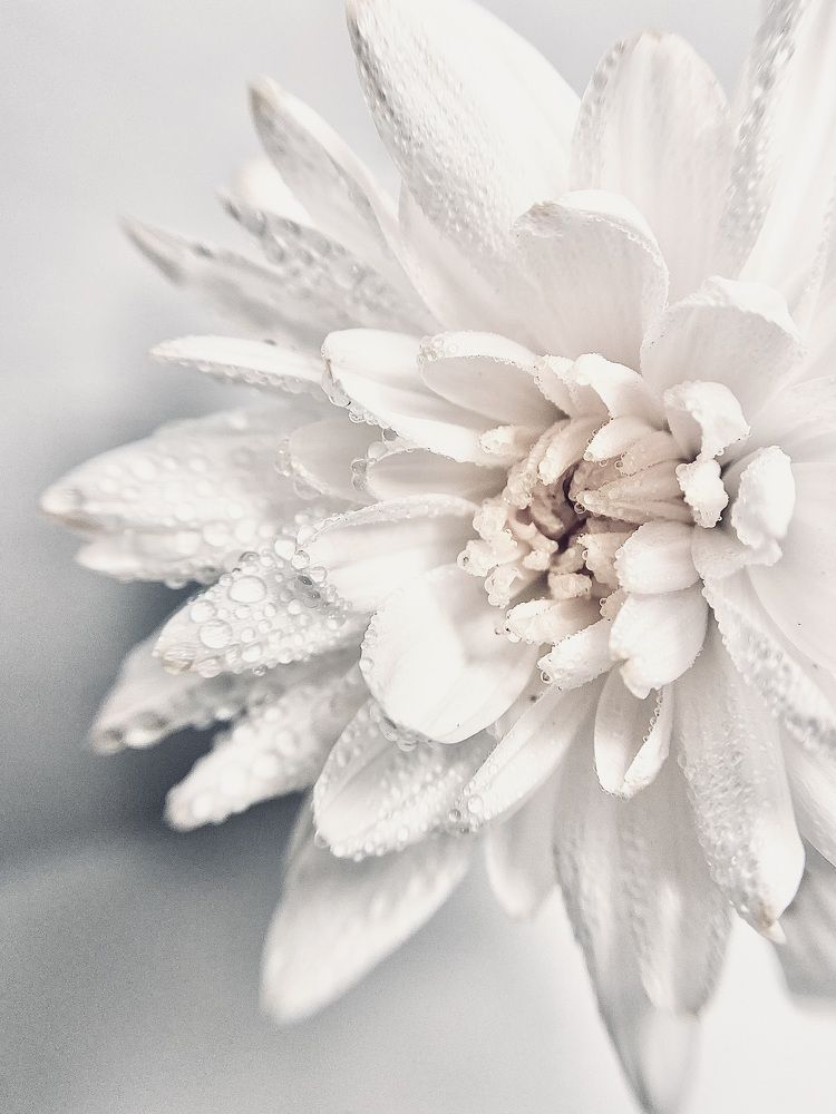 Photograph by Алена Алена