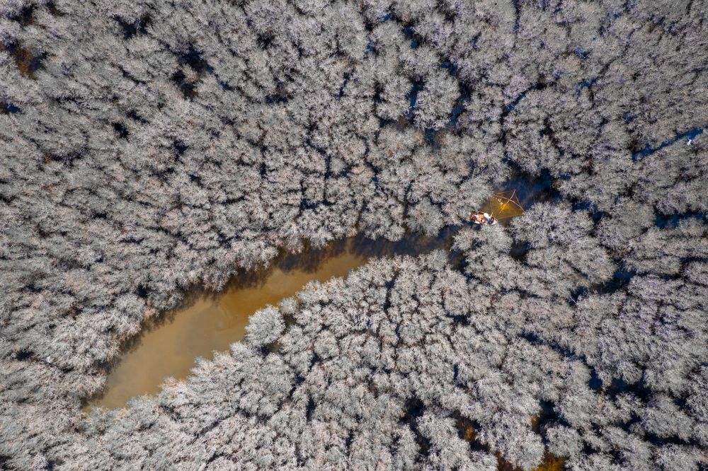 Photograph by Tuấn Nguyễn Tấn