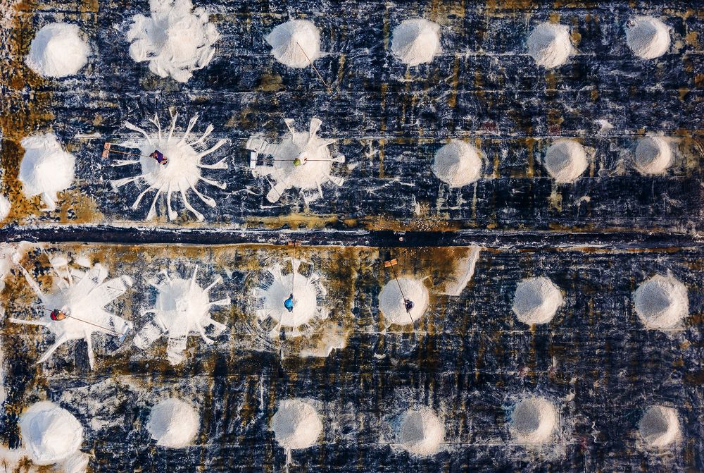 Photograph by Tuấn Nguyễn Tấn