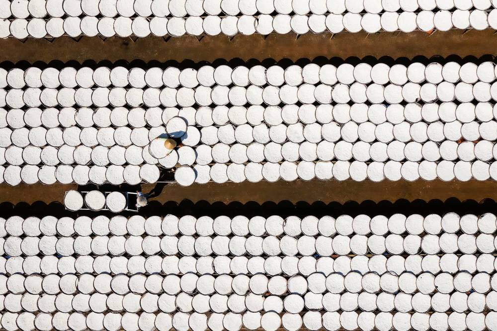 Photograph by Tuấn Nguyễn Tấn