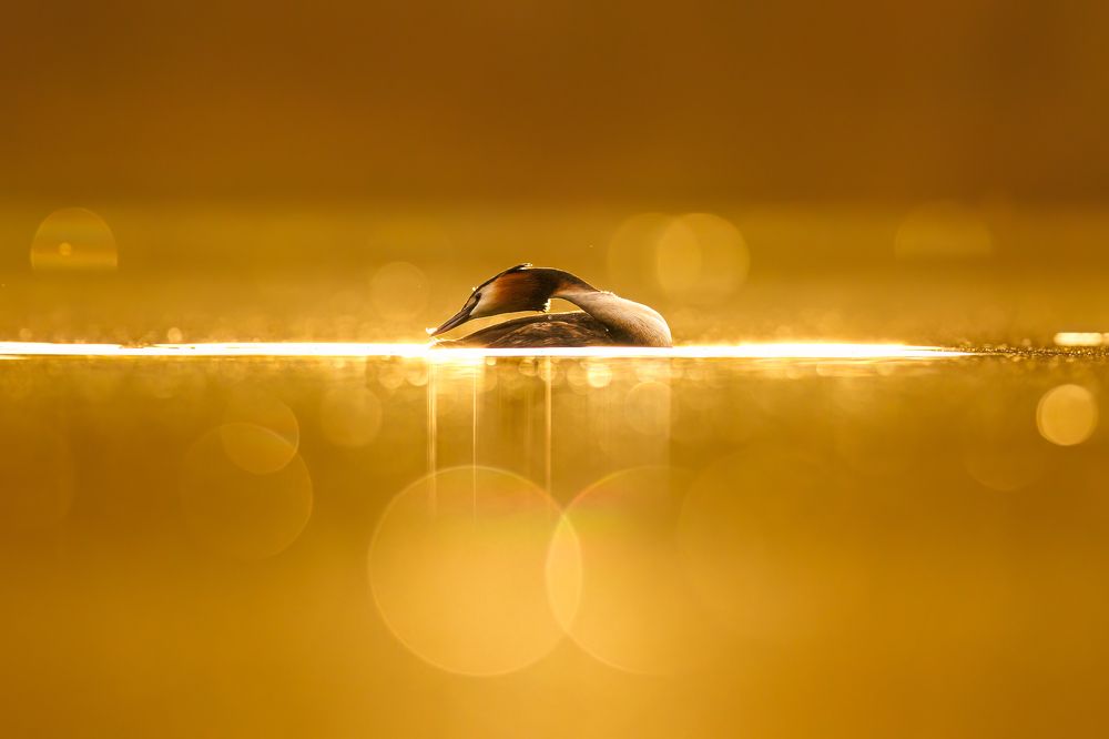 Фотография автора Patryk Kurc