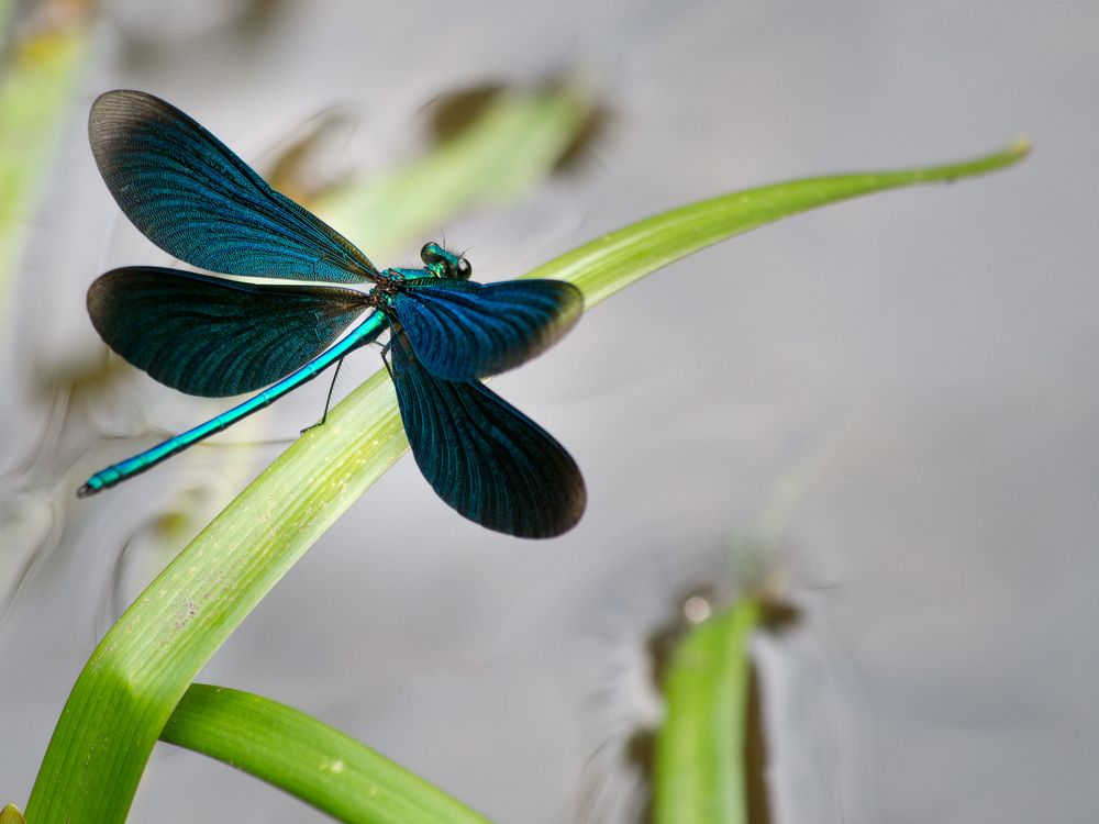 Photograph by Руслан Гончар