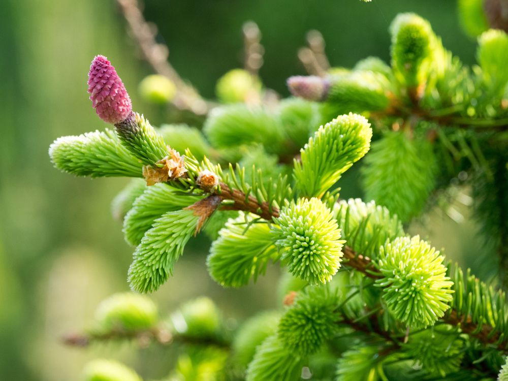 Photograph by Руслан Гончар