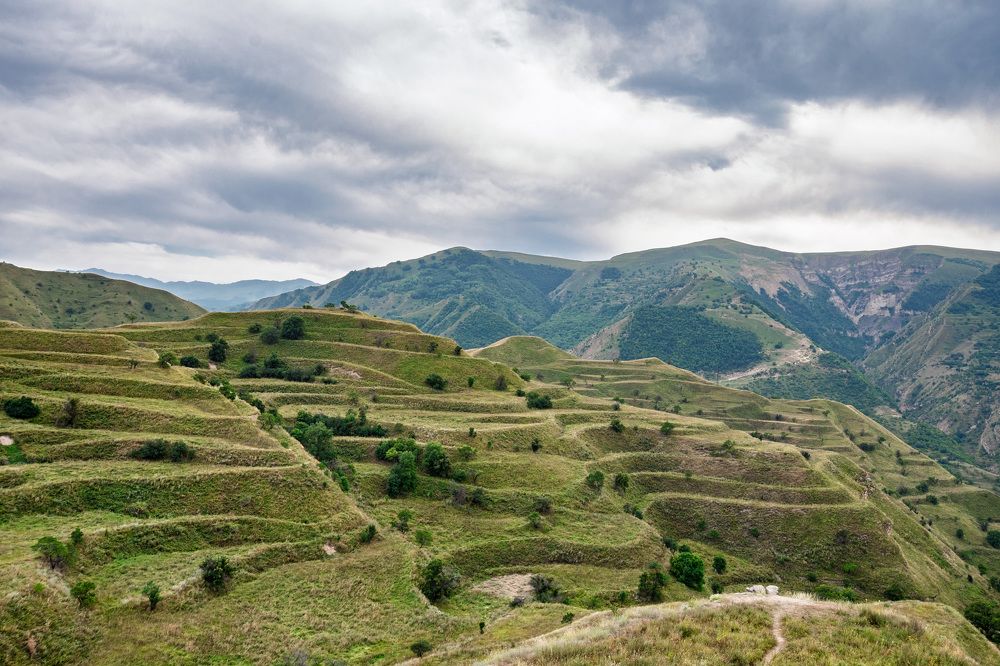 Photograph by Игорь Посиделов