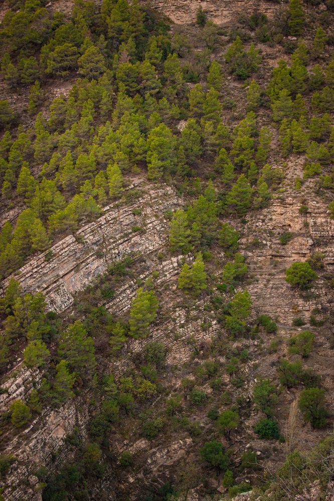 Фотография автора Aya lina Bng