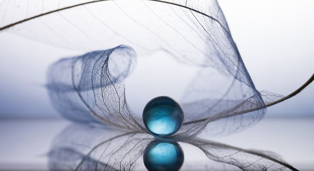 Фотография автора Обидина Мария