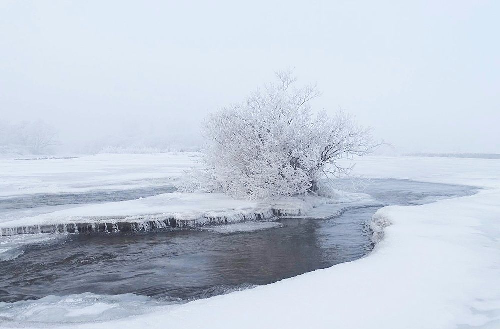 Белое безмолвие.