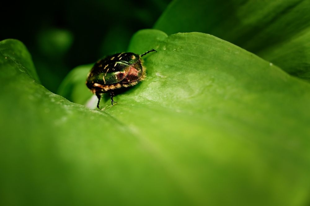 Photograph by Зорин Миша