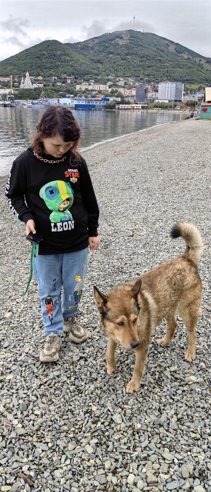 Photo #11391476