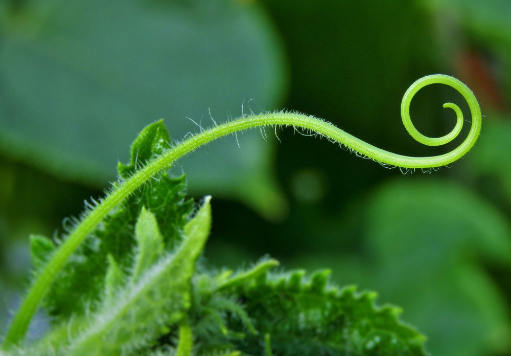 Photograph by Надежда Дергунова